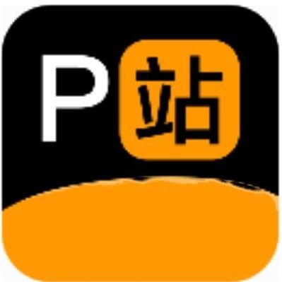 P站工坊's profile picture
