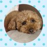 まち's profile picture