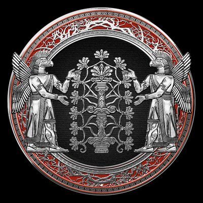 Ervâ 🇹🇷͜͜͡͡✯🔻 🇵🇸's profile picture