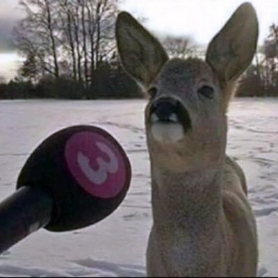 YnUnstable's profile picture