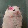 Profilbild von lolo707