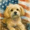 Фото профиля Britty 🇺🇸