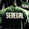 Profilbild von Serigne