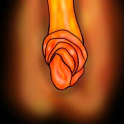 bigclittesao2's profile picture