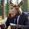 Profilbild von Venture Safari