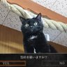 wildside 的头像