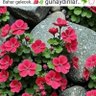 sevda uysal profil fotoğrafı