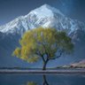 yeats profil fotoğrafı
