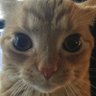 Profilbild von triz