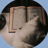 Shira Kiumino✨️🍃🤍 | كود RR في جاهز✨'s profile picture