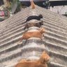 Mee 的头像