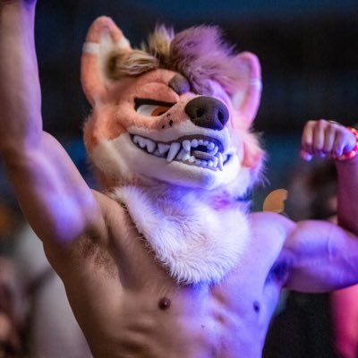 WHISKY™️🥃🔜 TFF, MP's profile picture