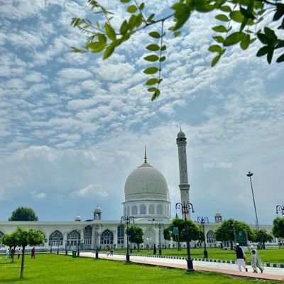 Kashur Mamluk's profile picture