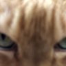 Profilbild von おっちゃん