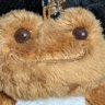 Фото профиля pika