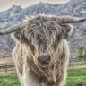Фото профиля Wyoming Free