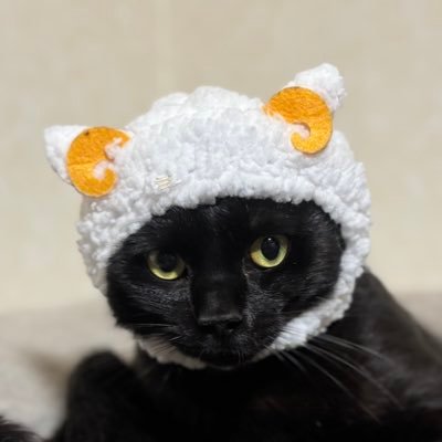bunpichan's profile picture