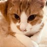こな𓏲𓎨's profile picture