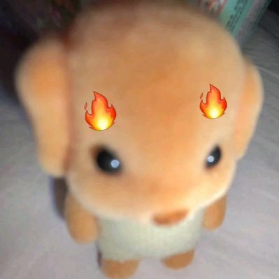 aga555261687631's profile picture
