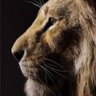 Selva Kumar's profile picture