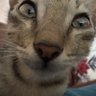 RaOne's profile picture