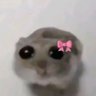 Profilbild von Lora