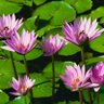 Фото профиля ilias gatit