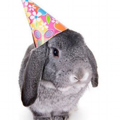 dee🐇💫's profile picture