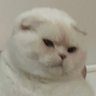 Profilbild von やまか