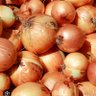 Profilbild von onion man