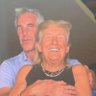Al CaPope's profile picture