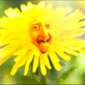 IjustRokeUp's profile picture