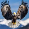 ranks's profile picture