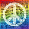 🇮🇳Vigilant Indian☮️'s profile picture