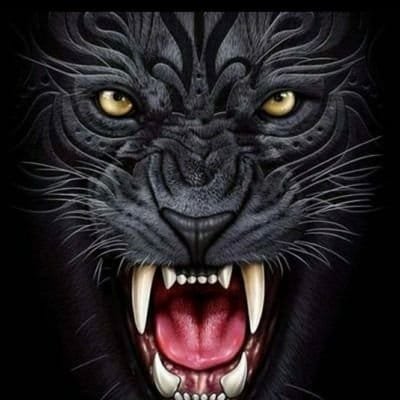 Black tiger's profile picture