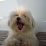 Urszula's profile picture