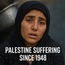 Palestine 🔻 的头像