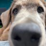Cafeinada ☕️ profil fotoğrafı