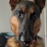 Profilbild von jd
