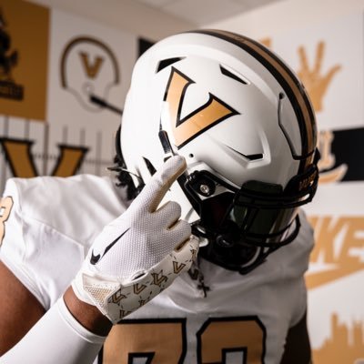 Pulelei’ite M. Primus's profile picture