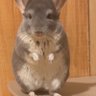 のんちゃん's profile picture