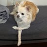 ユカ profil fotoğrafı
