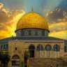 عبدالله الصديقي 的头像
