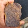 Alaskan Gold REE and Antimony 的头像