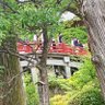 Фото профиля もちほっぺのなれはて