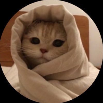 cat with confusing auras's profile picture