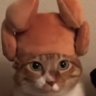 Profilbild von karma12312