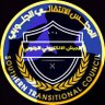 الجيش الإلكتروني الجنوبي profil fotoğrafı