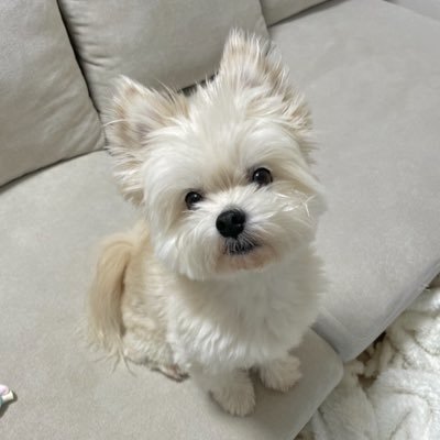 ぽんた's profile picture