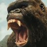 Фото профиля kong